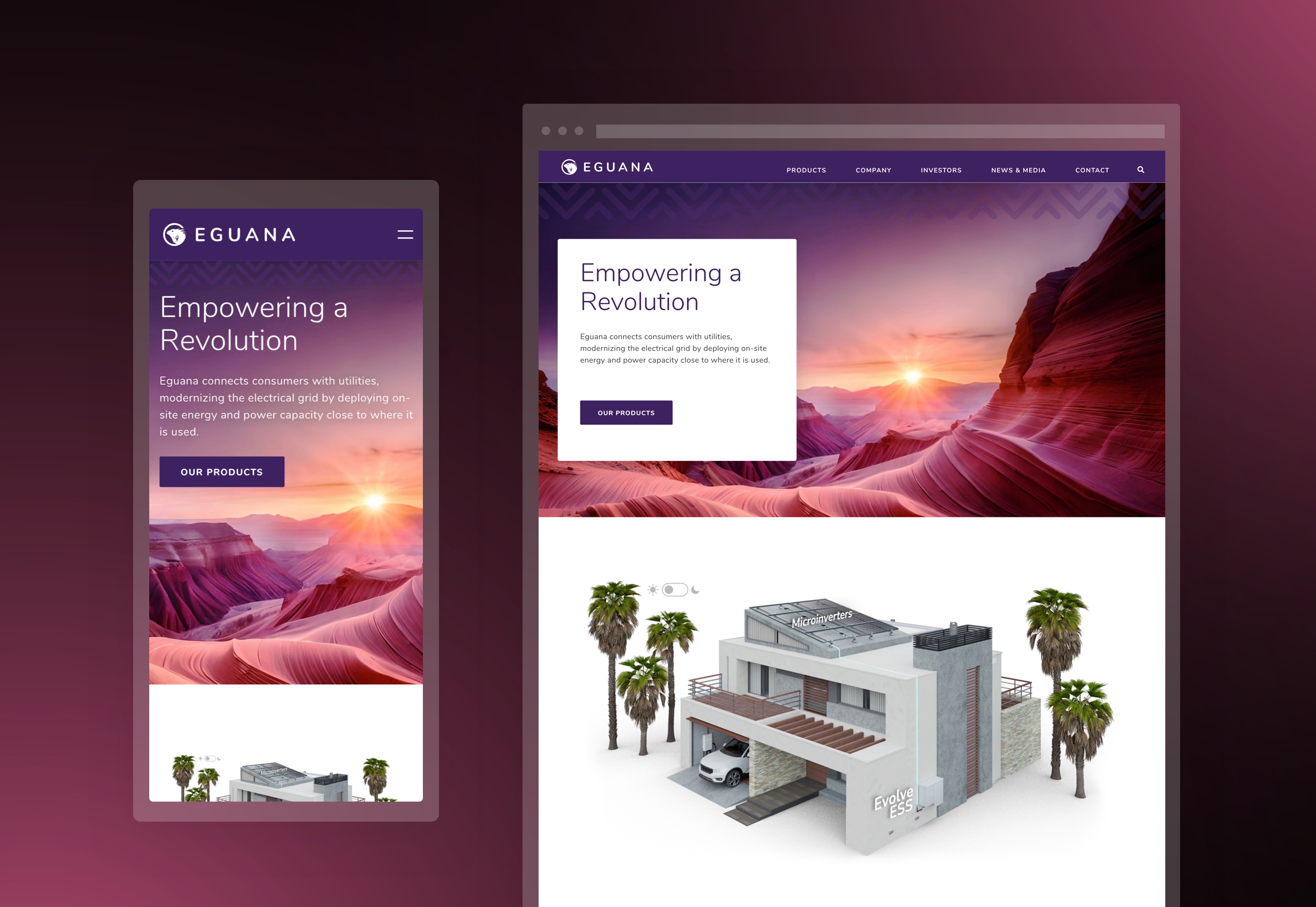 Eguana Tech Case Study - Image 1